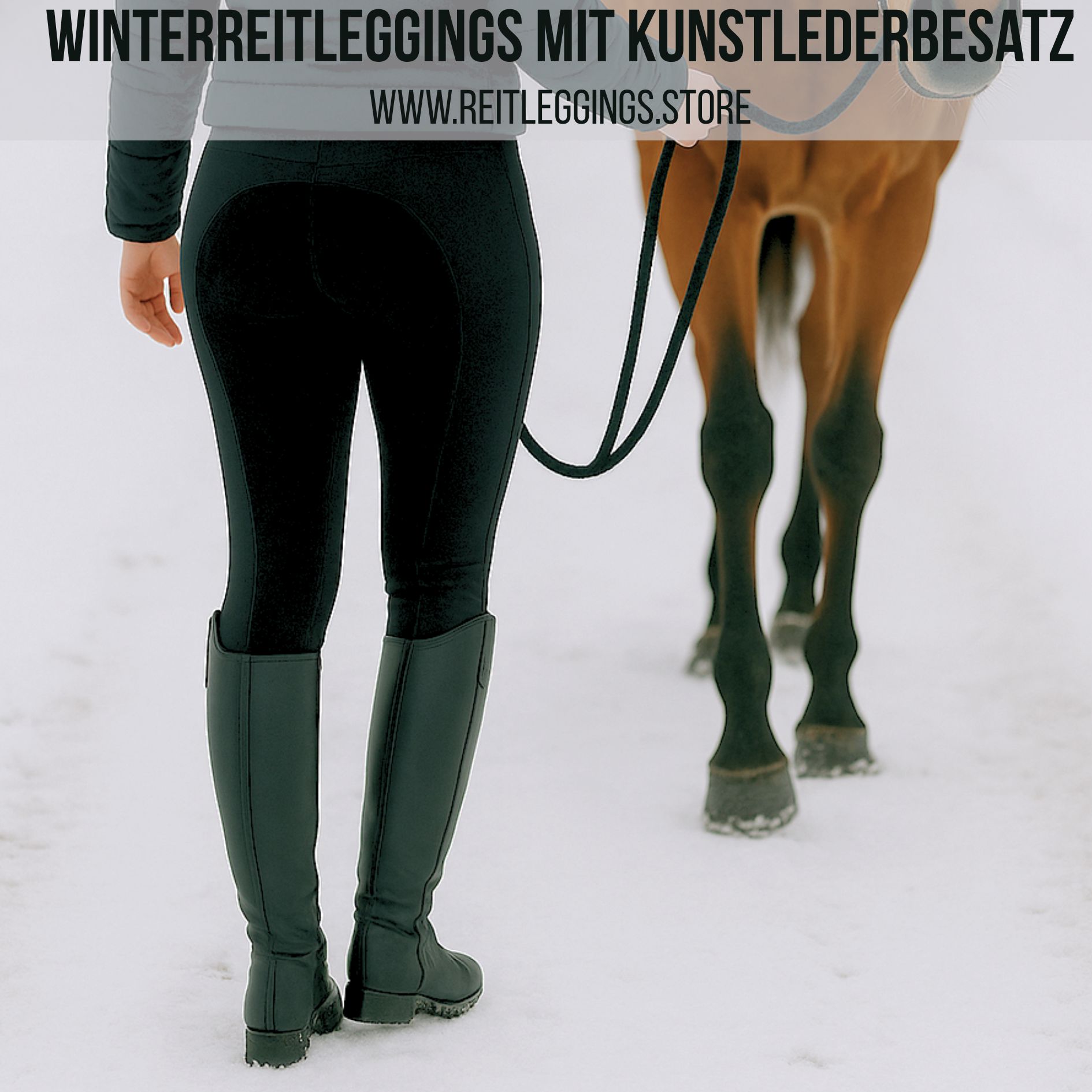 Reitleggings Kunstleder Winter